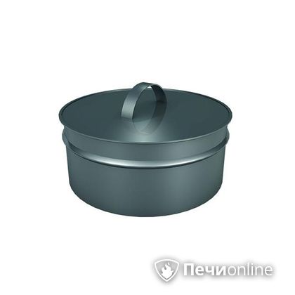 Заглушки Теплов и Сухов Заглушка ревизии Термо-Р 304 0.5 D300(200) в Актобе