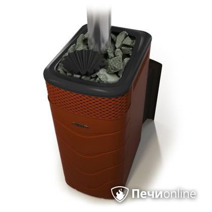 Дровяная банная печь TMF Гейзер XXL 2017 Inox Витра закрытая каменка терракота в Актобе